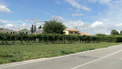 Area edificabile San Cipriano Roncade