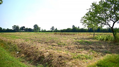Terreno agricolo in vendita a San Cipriano