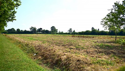 Terreno agricolo in vendita a San Cipriano